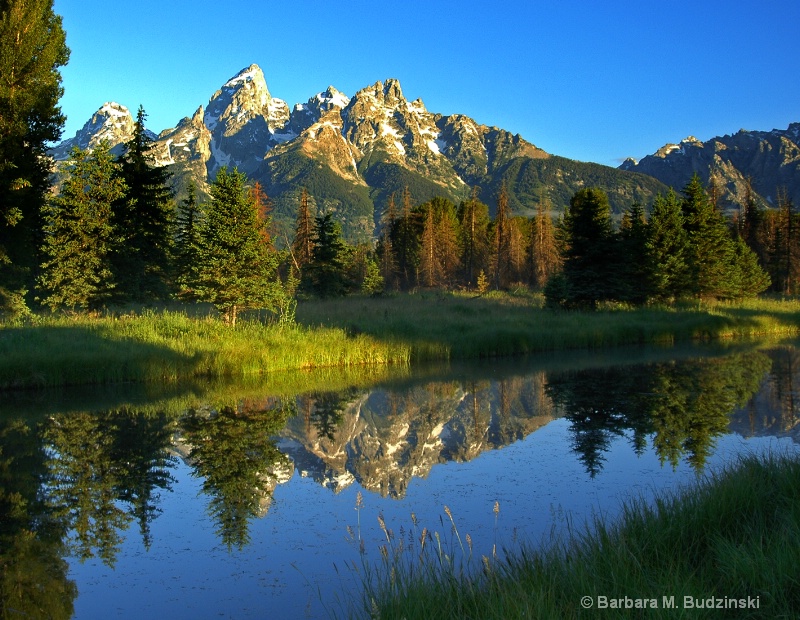 Morning Reflection in Tetons