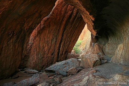 The Shelter