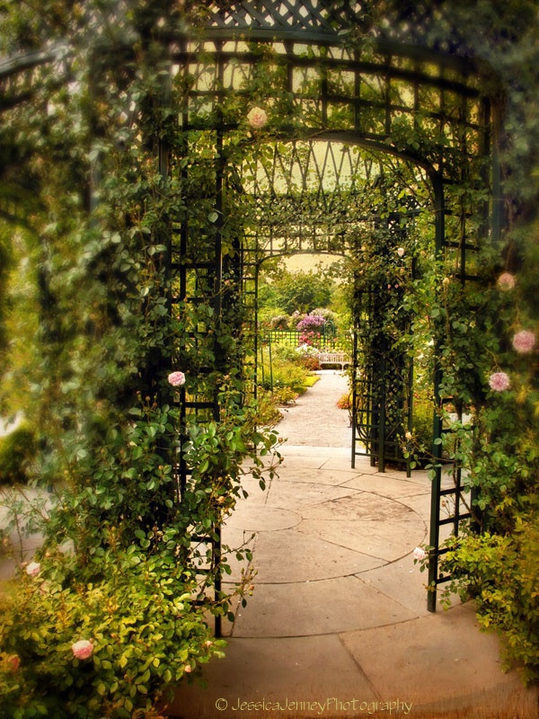 Rose Arbor