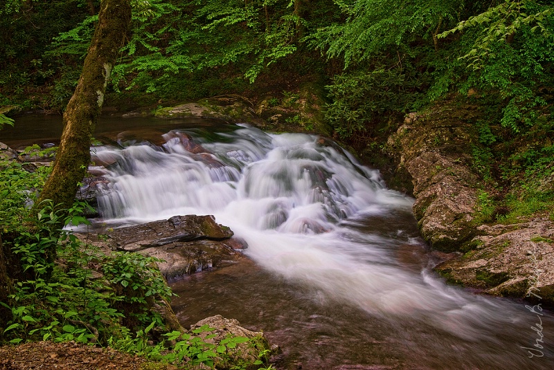 Roadside Cascade