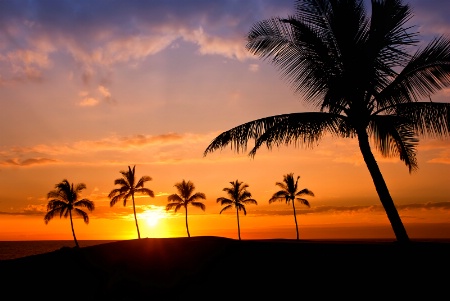 Tropical Sunset