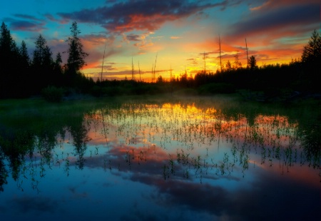 Sunrise over the beaver pond