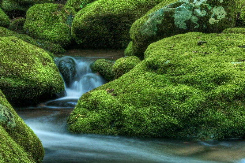 Cascade Through the Rocks