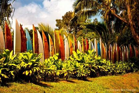 Surfboards