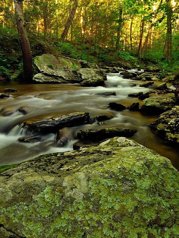 Fishing Creek