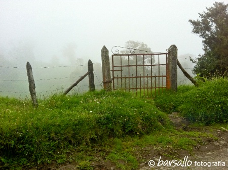 Old farms