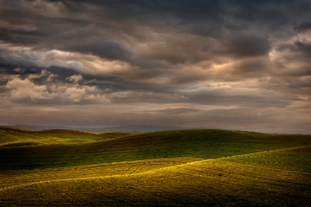 Stormy Palouse