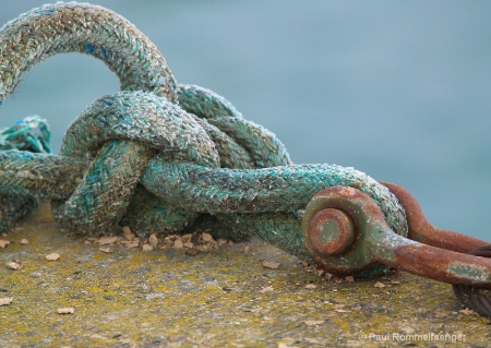 All Tied Up at the Dock