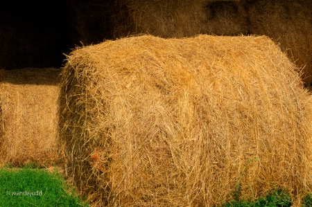 Carolyn's Hay II