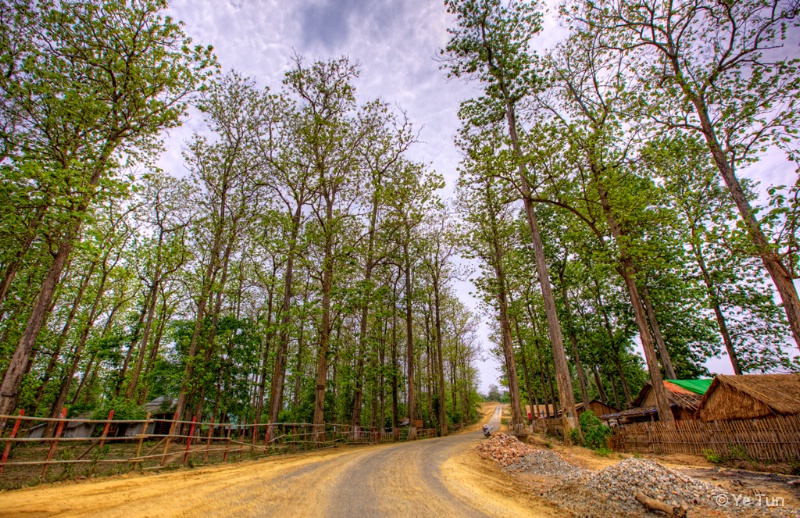 Country Road