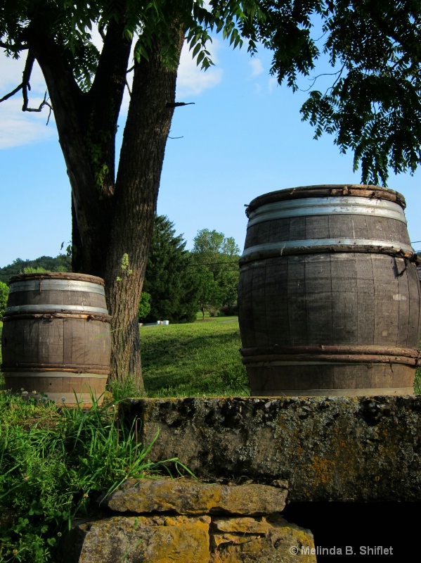 Barrel Tasting