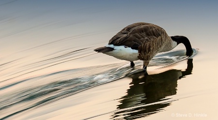 Heading Upstream!