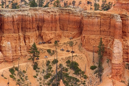 Canyon Riders