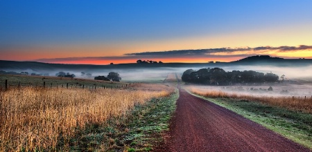 The colours of Merino