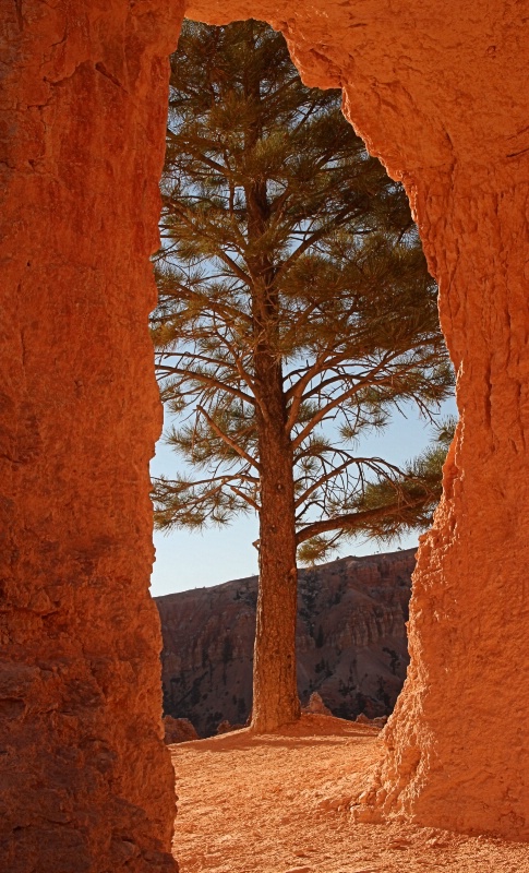 Natural Framing