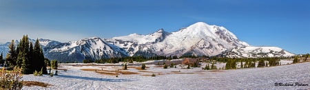 Mount Rainier Sunrise Visitors Center