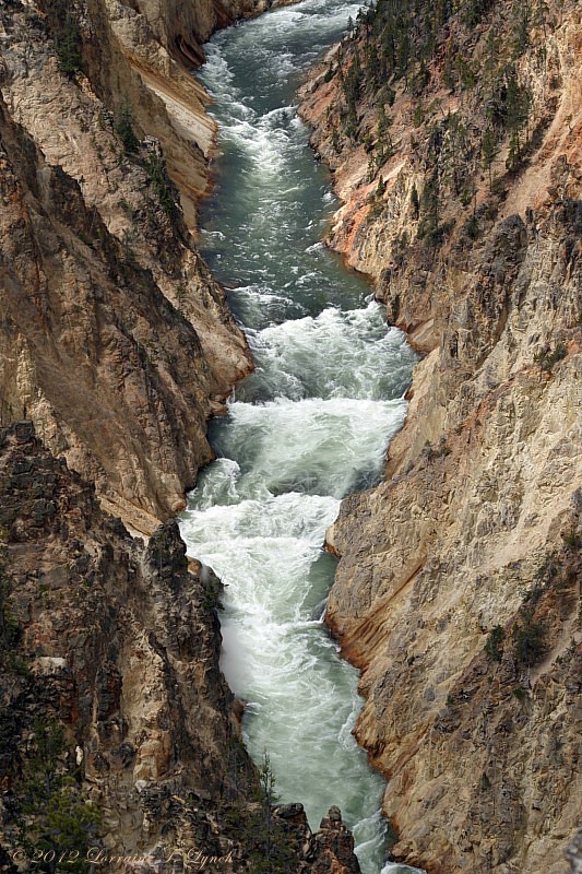 Water and Rock