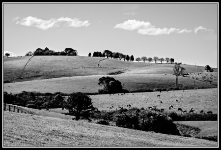 Comboyne Skyline #2 (b&w)