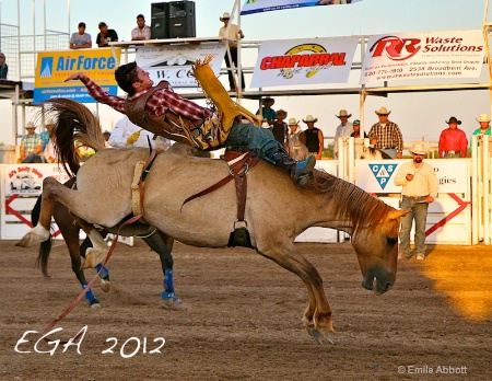 Bareback Bronco Riding