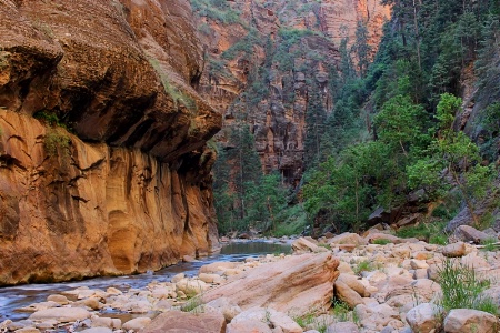 Along the Virgin River