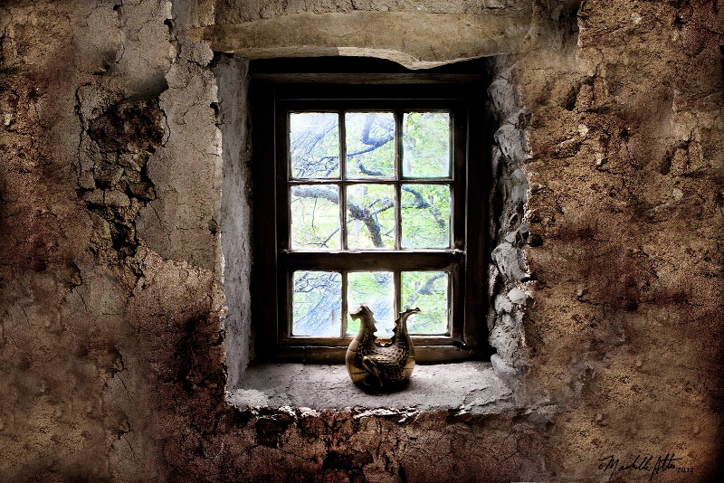 Window