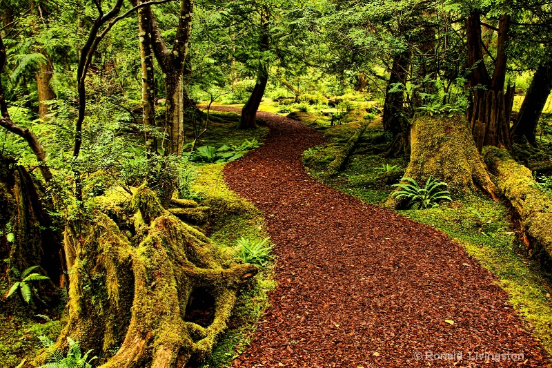 Garden Path