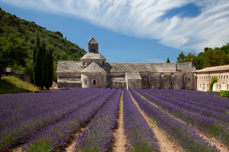 Abbaye de Senanque 5675