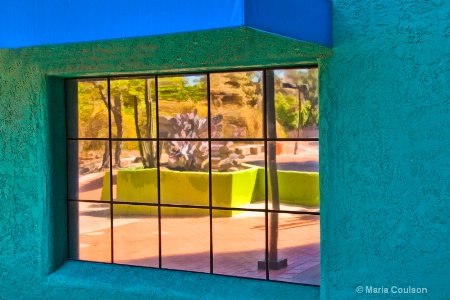 Cactus Reflection