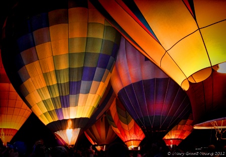 Bevy of Balloons