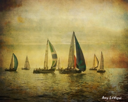 Sailboat Racing