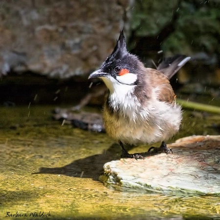 Having a bath