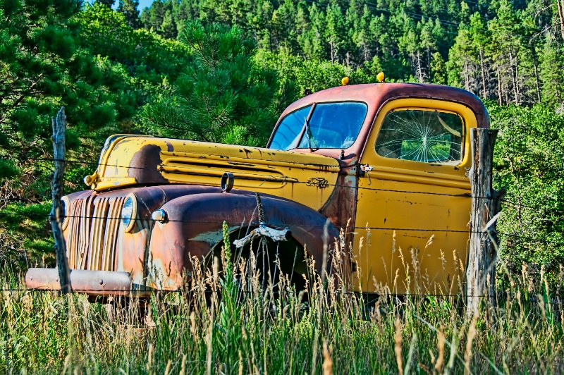 Out to Pasture