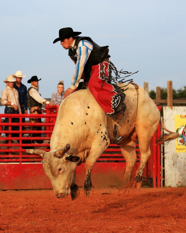 Bull Riding