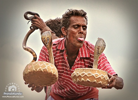 ~ The Snake Charmer ~