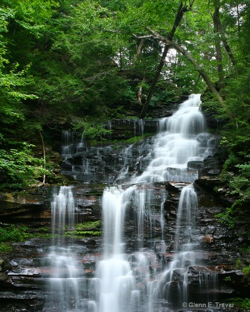 Tallest at the Glen