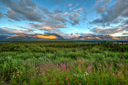 Denali Golden Hour 2