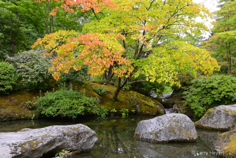 Seattle- Japanese Tea Garden
