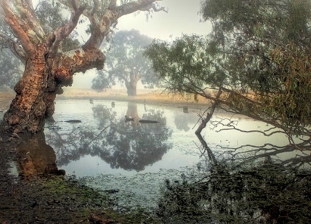 The Glenelg River