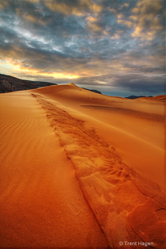 coral pink sand dunes