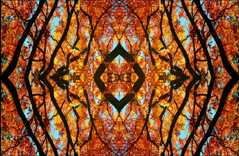 Autumn Kaleidoscope 