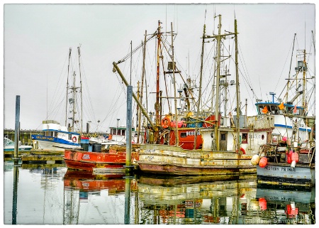 La Push Marina