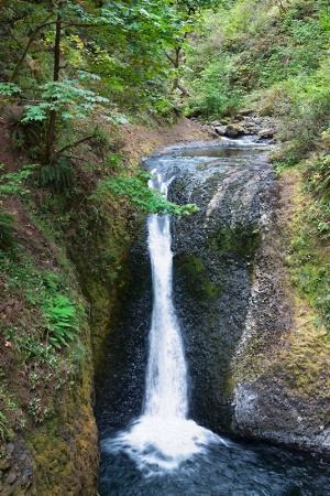 Oneonta Gorge