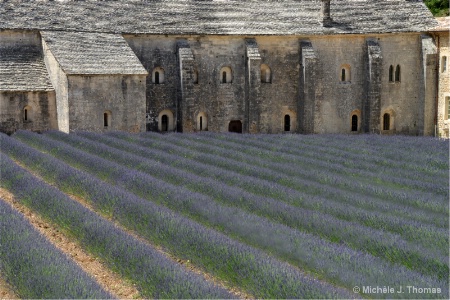 Lavender Fields at  Senanque Abbey, France !