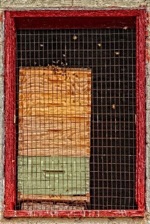 Bee Doorway