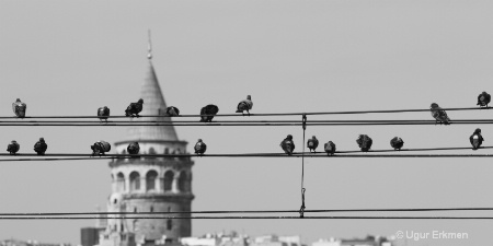 Galata Tower,Istanbul