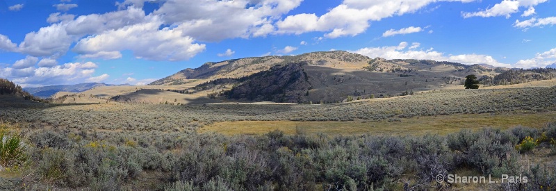 Beautiful Lamar Valley