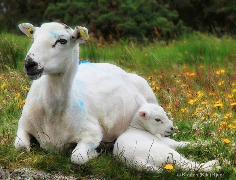 Safe With Mom