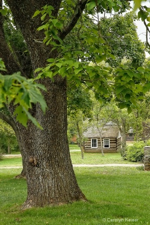 Daniel Boone Village