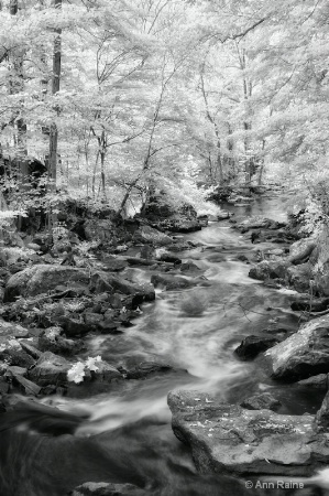 Pocantico River