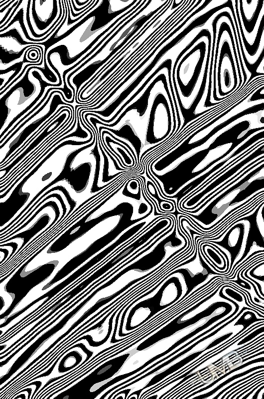 Zebra Abstract